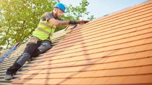 Best Cold Roofs  in Homedale, ID