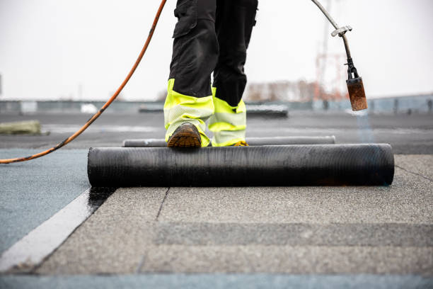 Best Roof Maintenance and Cleaning  in Homedale, ID