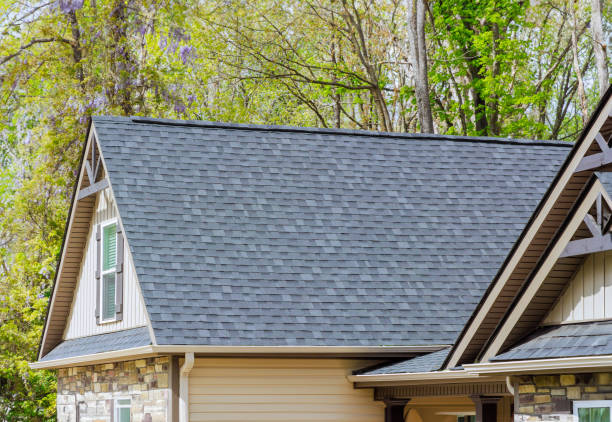 Best Solar Panel Roofing Installation  in Homedale, ID
